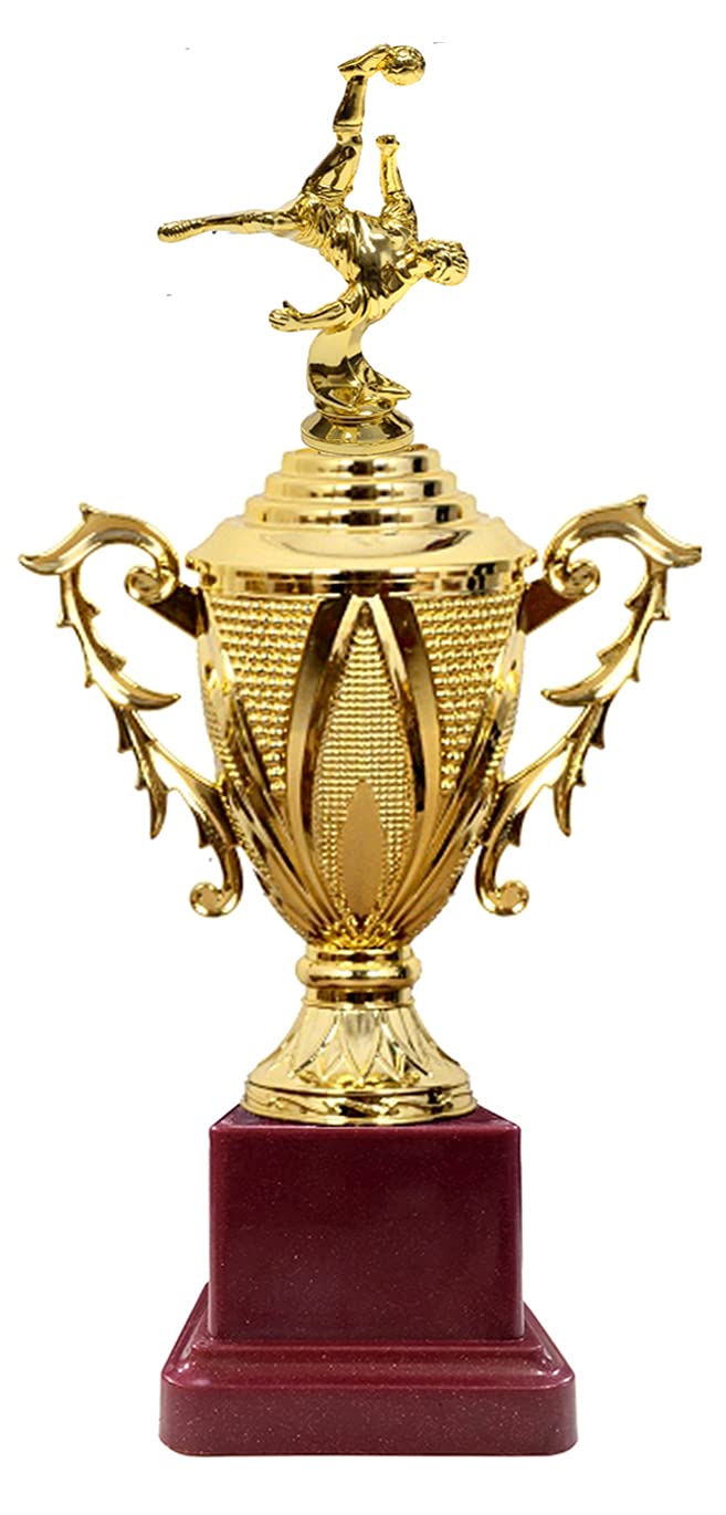 Be Win Winner Golden & Fiber Football Reverse Shot On Cup Trophy for Football Compitetions, School Games, Soccer Events & Functions (B09GVP7KVS) Amazon Price History, Amazon Price Tracker