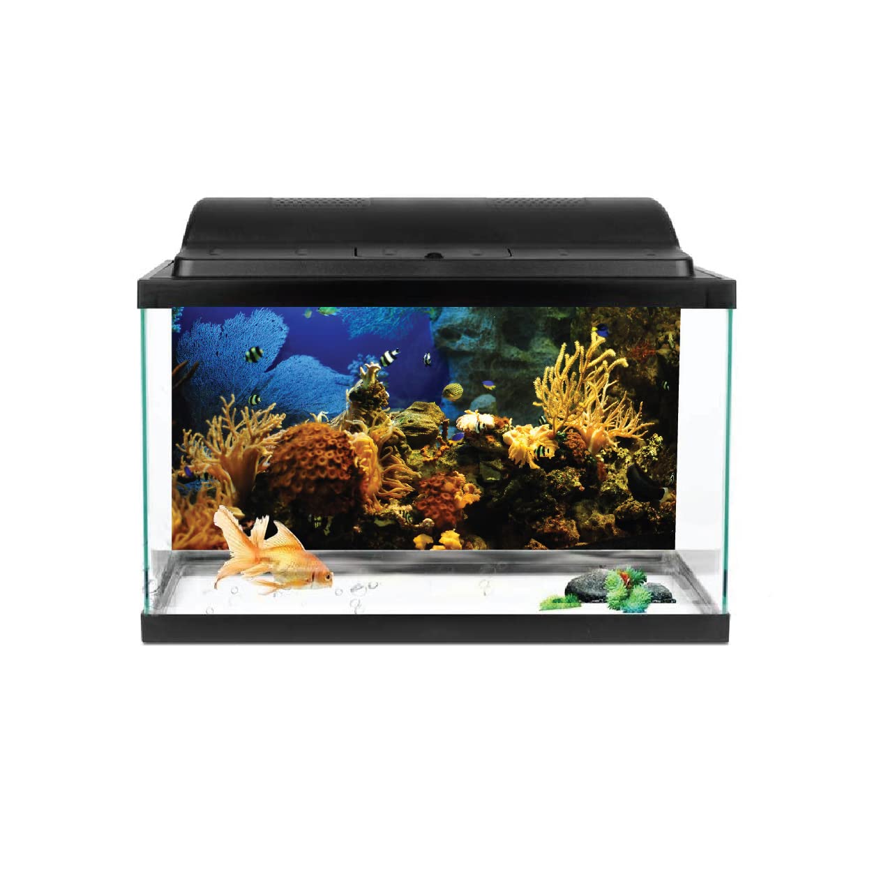 VVWV® Ocean colourfull World Aquarium Background Stickers for Fish Tank Waterproof Vinyl Printed Multicolored Sticker (61 x 30 CMS) (B0BWFFG7QX) Amazon Price History, Amazon Price Tracker
