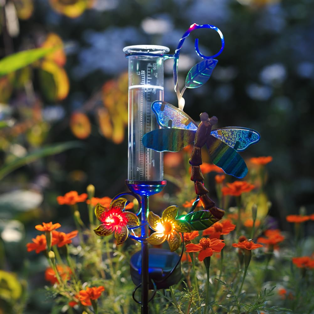 Stargarden Pluviometro per esterni, con libellula in metallo, tubo di vetro da 12,7 cm, pluviometro decorativo solare con luci a LED per cortili, prati, sentieri, patii