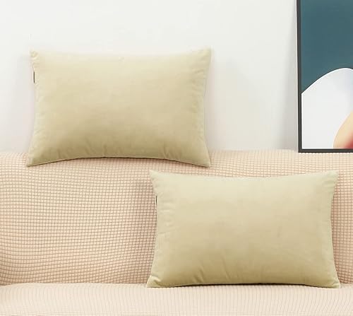 TangDepot Juego de 2 fundas de almohada de terciopelo súper suaves, fundas de almohada lumbar, fundas de almohada - (12 x 18 pulgadas, 2 piezas,