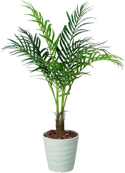 Amazon 光触媒観葉植物 アレカパーム 197a180 人工観葉植物 オンライン通販 Amazon 光触媒観葉植物 アレカパーム 197a180 人工観葉植物 オンライン通販