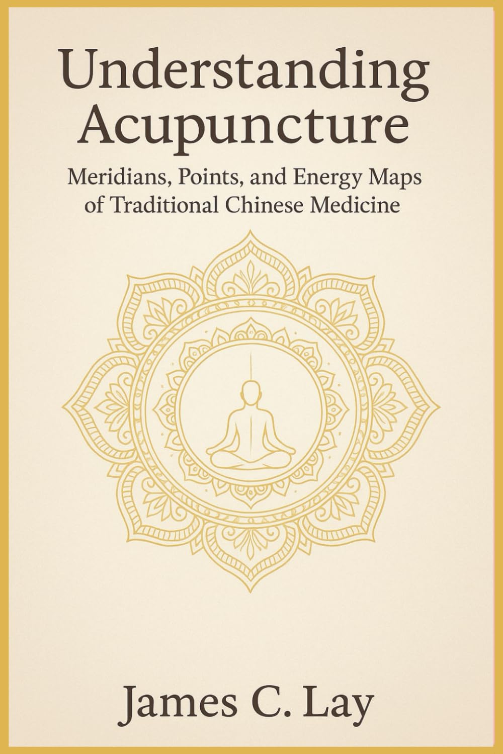 Understanding Acupuncture: Meridians, Points, and Energy Maps of Traditional Chinese Medicine