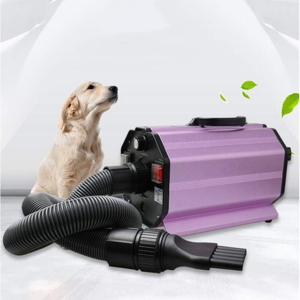 Dog Dryer 2200W Professional Dog Cat Hairdryers Flexible Hose Low Noise Adjustable Temperature with 3 Nozzles