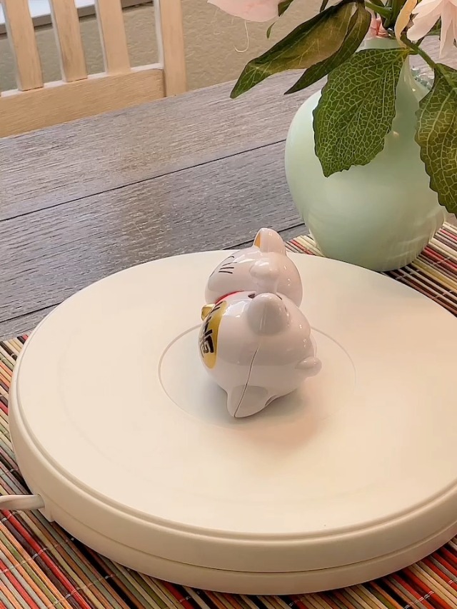 Amazon.com: Solar Energy Powered White Maneki Neko Beckoning