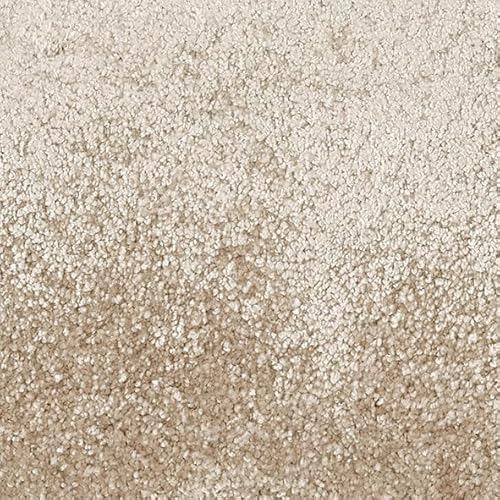 yAXI[V {ԃTCYzh Չ Vііh~ zbgJ[ybgg[Ήi O~ イ J[ybg O (OCN-11, {10 382×477cm)