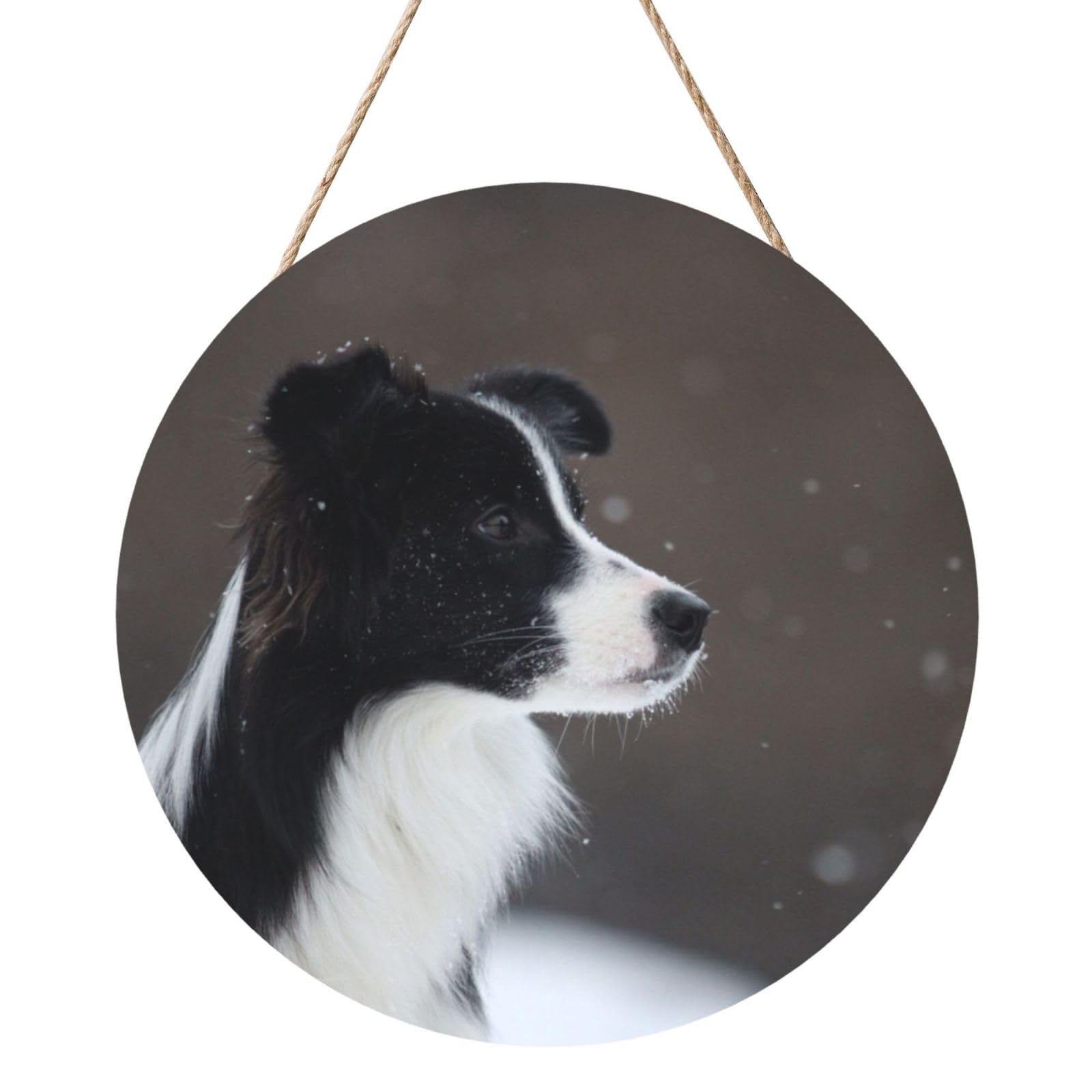 InOmak Border Collie Dog Spotted Snow, Round Wood Panel Painting 12 in, Wall Hanging Painting For Home