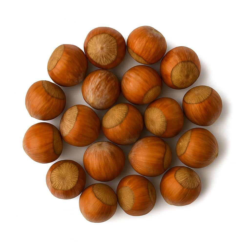 Crazy Nuts | Oregon Grown Large Raw Hazelnuts In Shell, 5lb | Whole Hazelnuts to Eat and for Wildlife, Avellanas Naturales