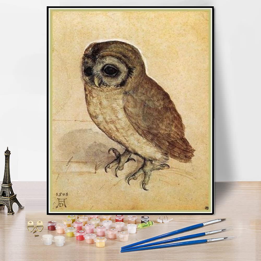 Number Painting for Adults The Little Owl Painting by Albrecht Durer DIY Oil Painting Paint by Number Kits