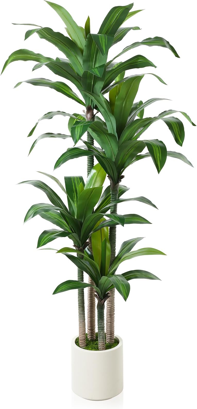 Artificial Dracaena Tree 6ft, Tall Fake Dracaena Plants with White Planter, Faux Dragon Tree Indoor Floor Plant for Home Decor Office Living Room Porch Housewarming Gift, 1Pcs