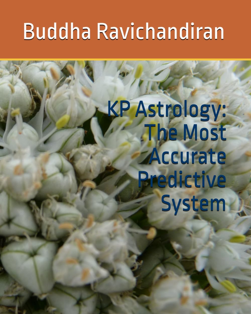 KP Astrology: The Most Accurate Predictive System