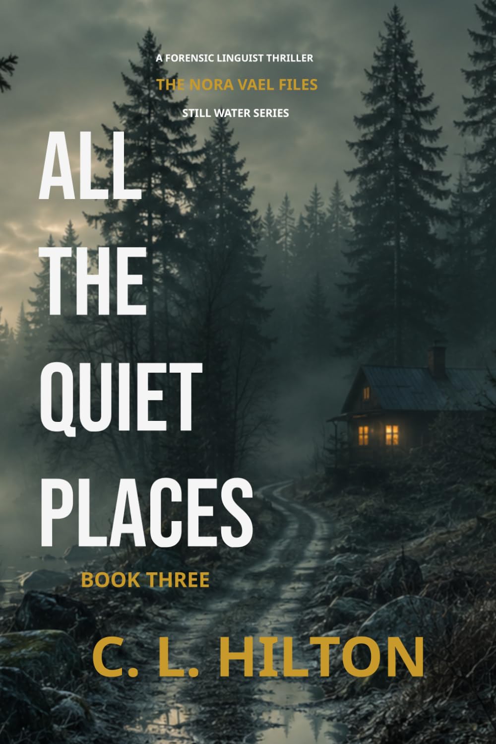 All the Quiet Places: Book Three of the Still Water Series