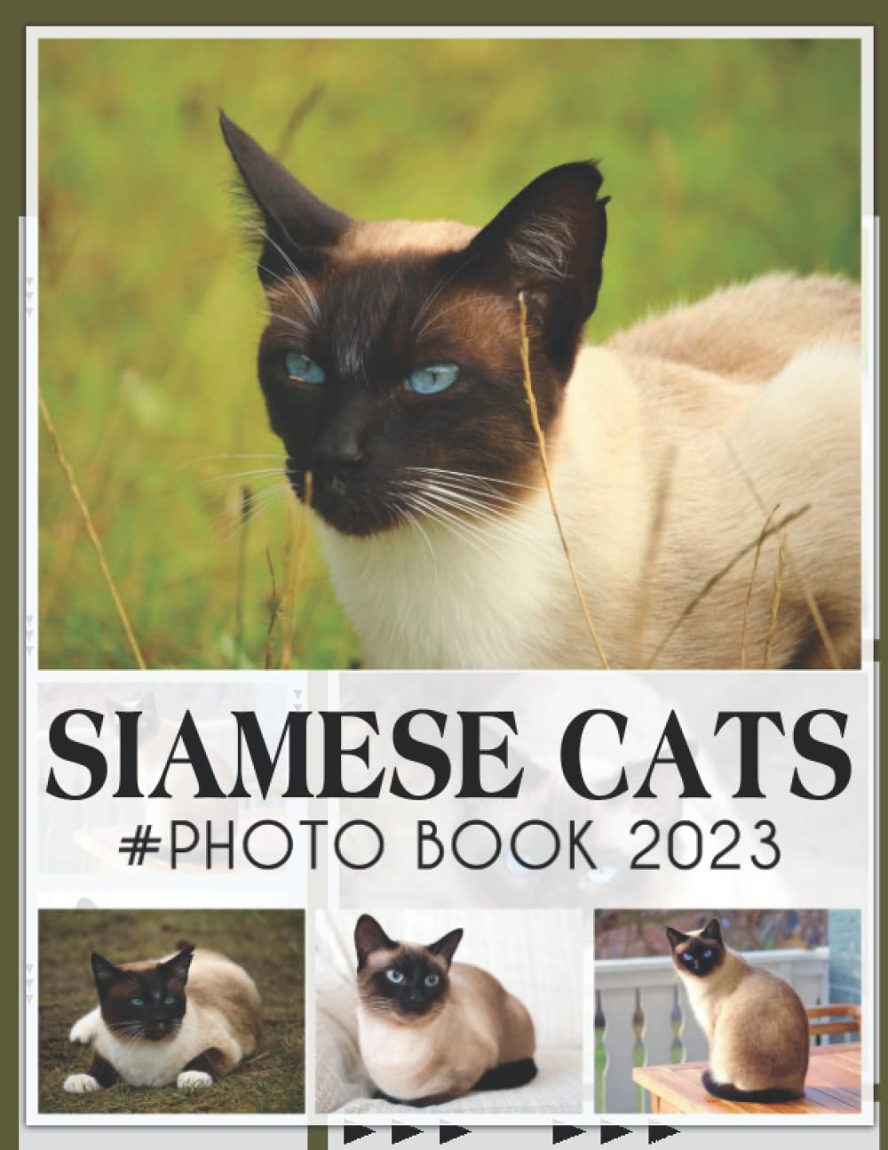 Siamese Cats Photobook: Photo Book Of Siamese Cats With 30+ Pictures, 2023 Photo Albums, Picture Book Birthday Christmas Gifts For Men Women Dad Mom