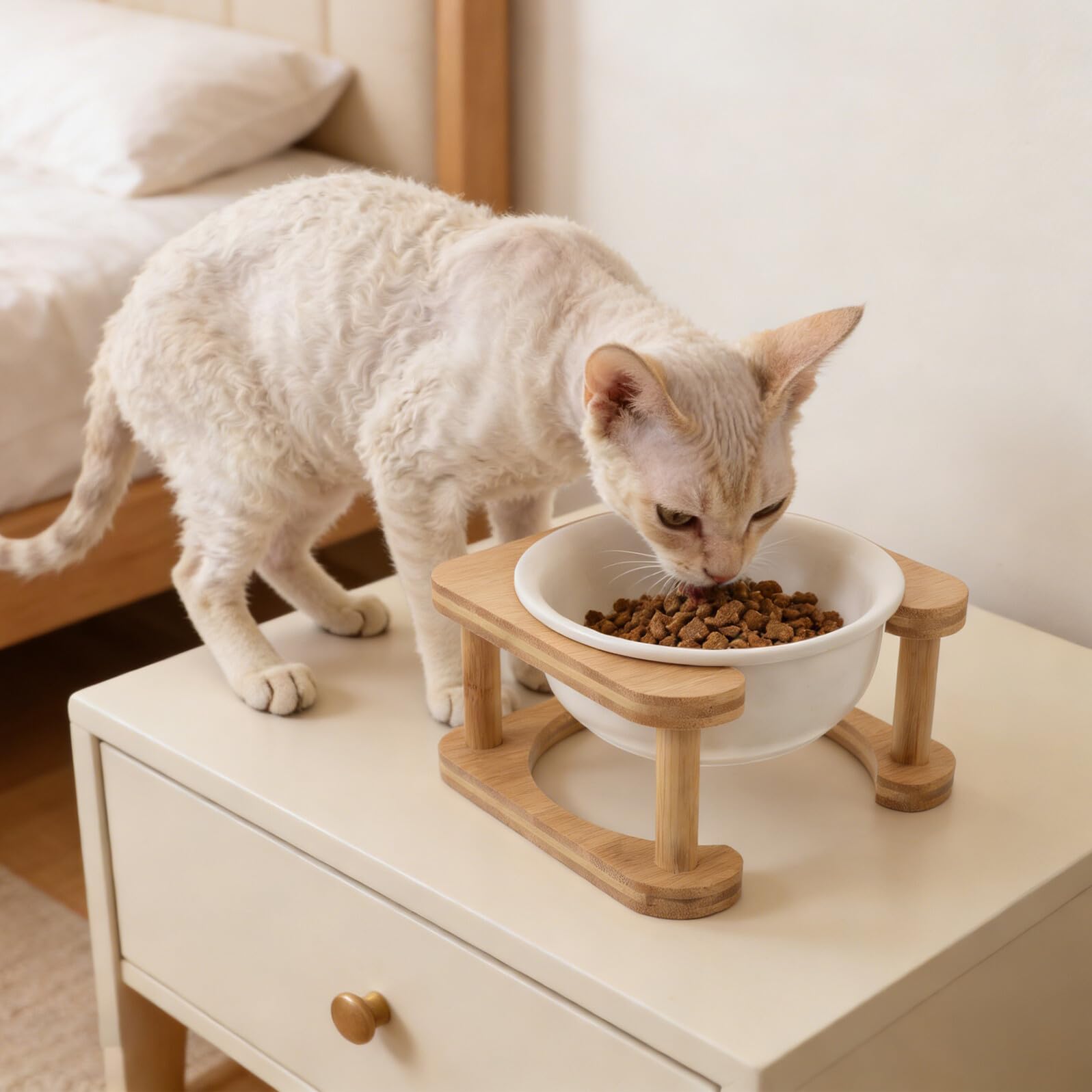 BESPORTBLE Gamelle Surélevée pour Chat et Petit Chien avec Support en Bois Blanc, Bol en Céramique 600 ML Anti-basculement, Distributeur d'eau et Nourriture pour Animaux D'intérieur