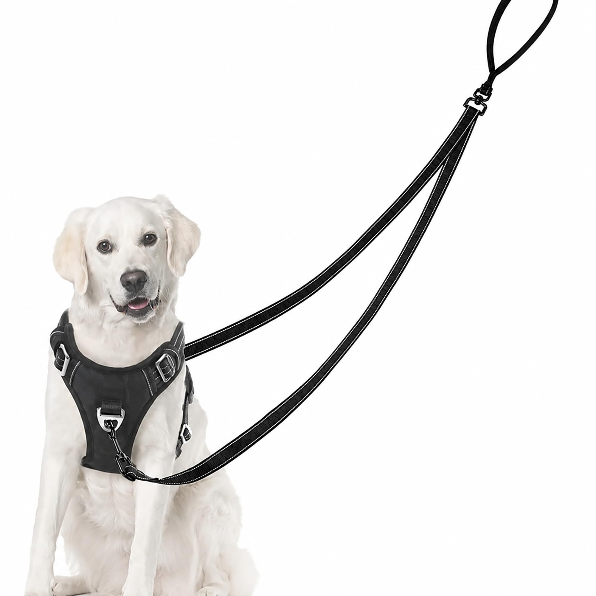 Two Point Control Dog Leash, Professional Anti-Pull Dog Lead with Reflective Stitching and Soft Padded Works with No Pull Harnesses Easy to Convert Single Lead for Small Medium Dogs H8SDKZG