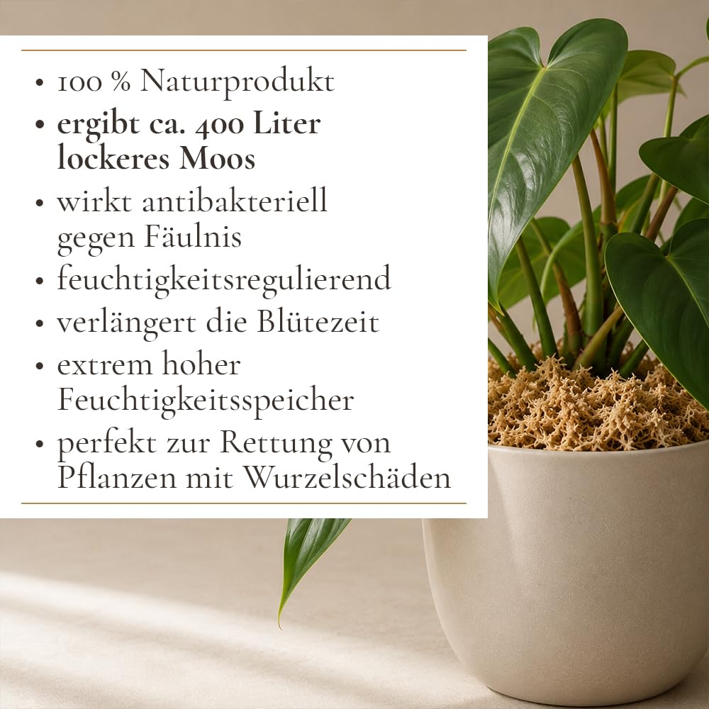 Sphagnum Moos 5Kg, ca. 400L – Premium Orchideenmoos & Pflanzensubstrat | Stark wasserspeichernd, Torfmoos, Für Orchideen, Monstera, Anthurium, Für Stecklinge & Terrarium, Für Zimmerpflanzen