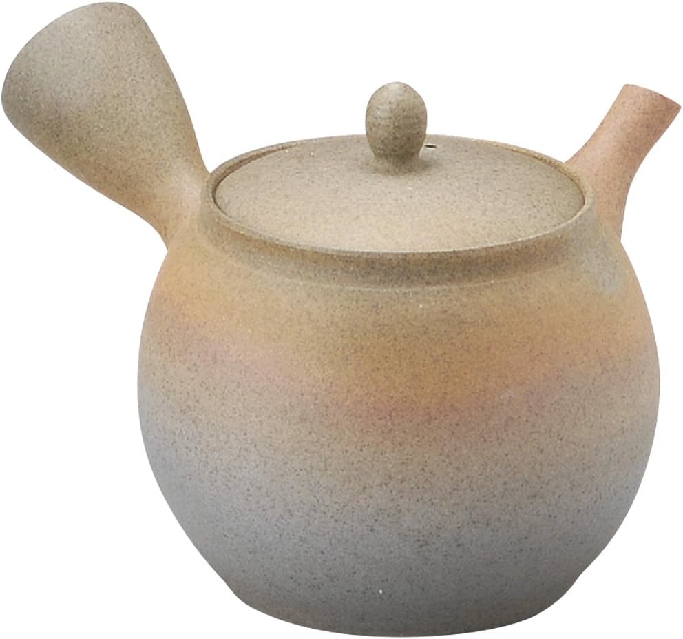 Teapot, M10 Tokoname Ware Tamako Kiln Functional Teapot