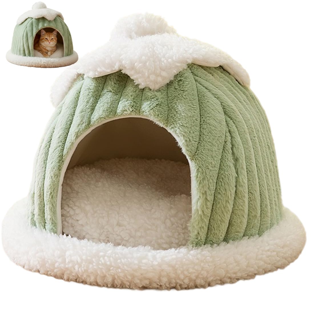 Lit fermé pour chat contre le froid hivernal et les courants d'air