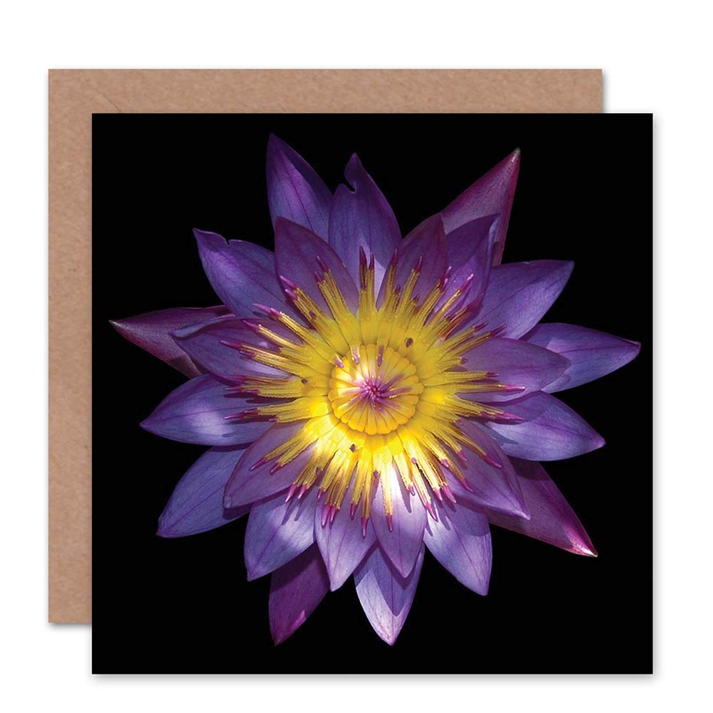 Wee Blue Coo CARD GREETING BIRTHDAY NICE PURPLE FLOWER GIFT