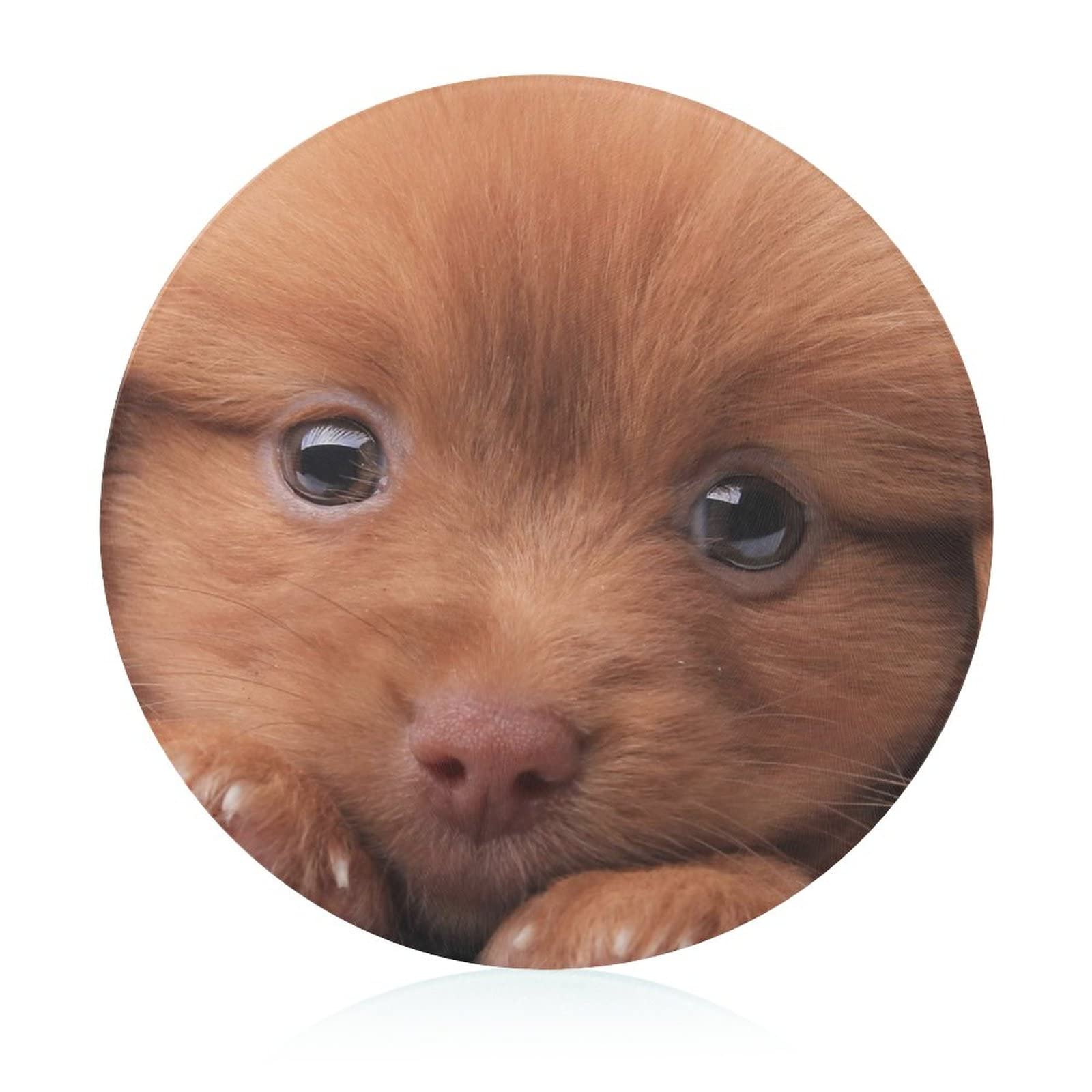 Planche à découper aliments 20 cm style peluche de chien