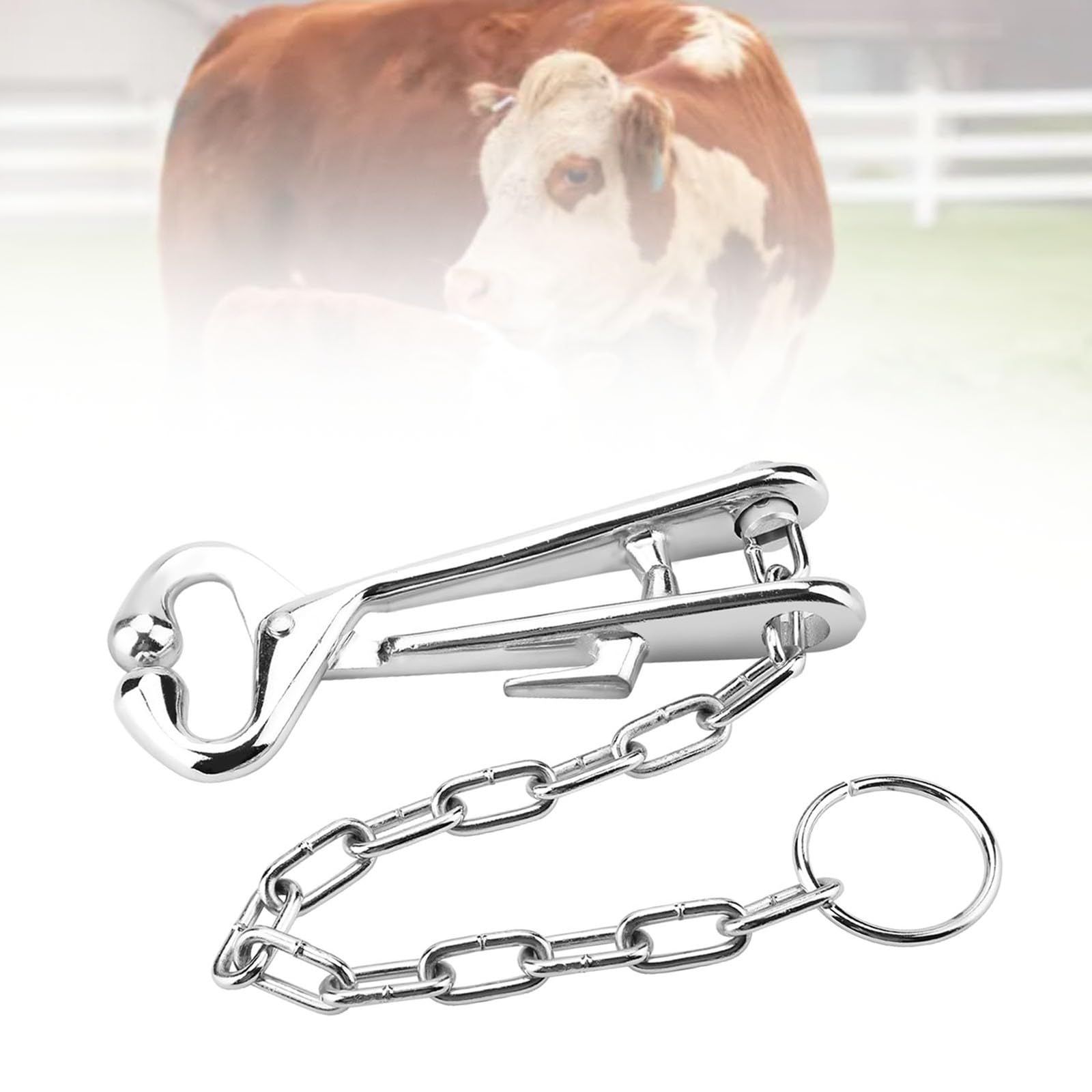 Pinze a becco di mucca in acciaio inox con catena