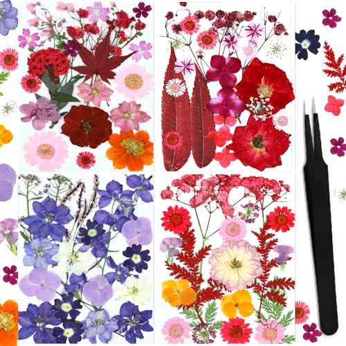 Set de 82 flores secas prensadas naturales miniatura 1