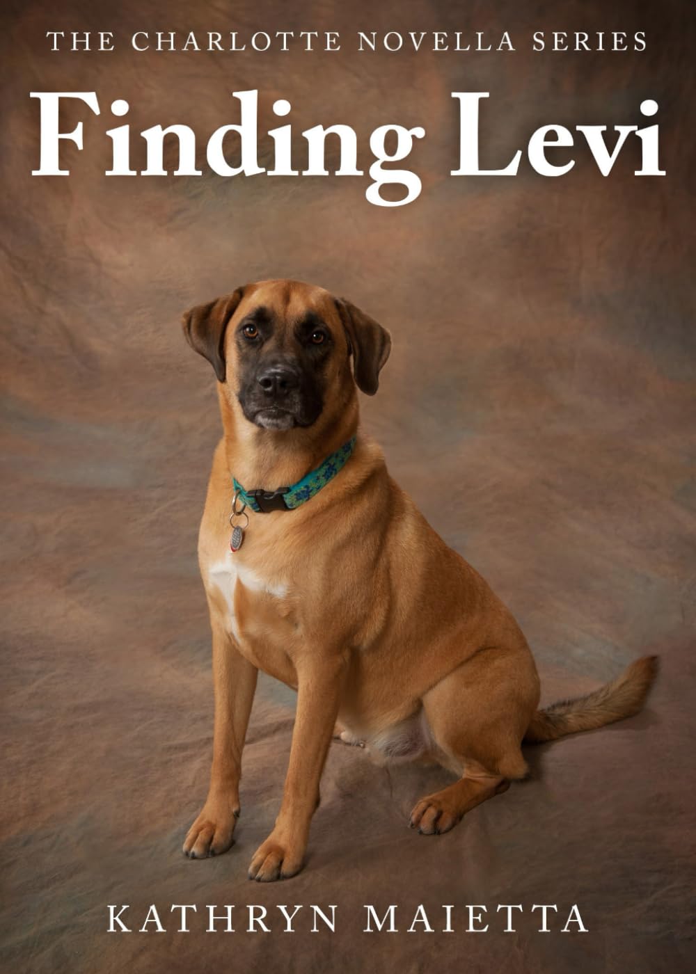 Finding Levi (The Charlotte Novella Series)