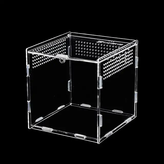 Caja de Alimentación Anti-Escape para Terrario de Ranas - Acrílico 9x9x9.5cm