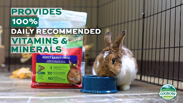 Amazon.com : Oxbow Essentials Adult Rabbit Food, Timothy Hay