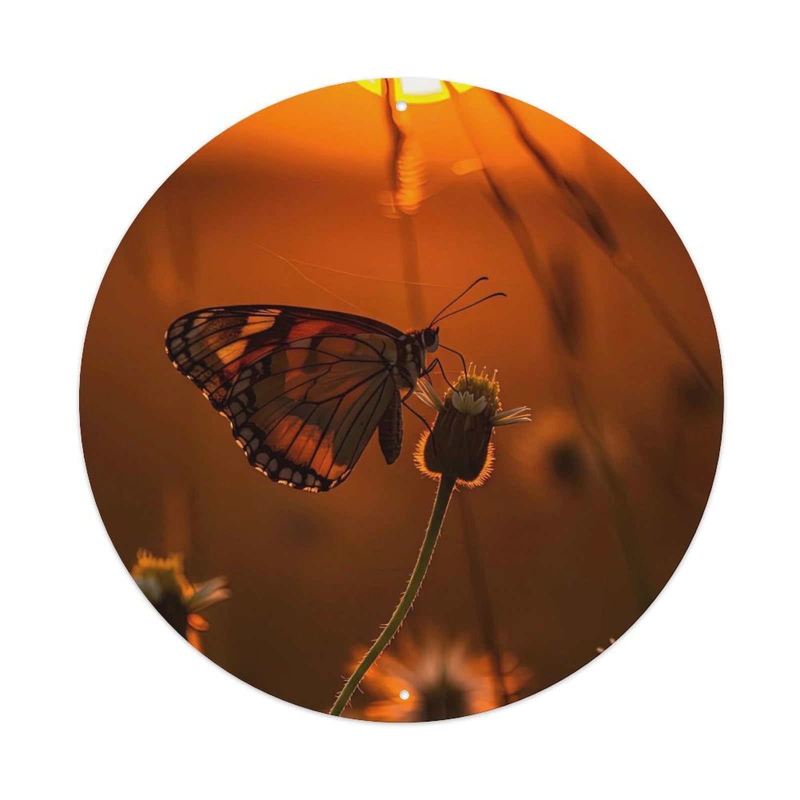 Cwbufd Vintage Style Butterfly Golden Hour Sunlight Wildlife Photography Nature Vintage Metal Tin Sign Plaque Wall Decor For Cafe, Club Bar, Office, Garden Metal Poster 8X8inch