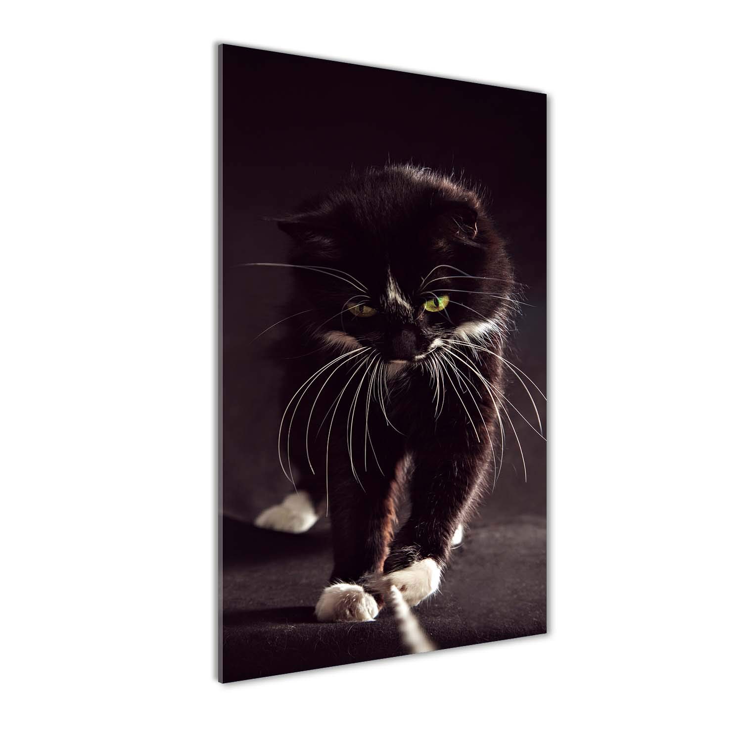 Tableaux pour la mur en verre acrylique haut de gamme Tulup motif animaux noir 50x100