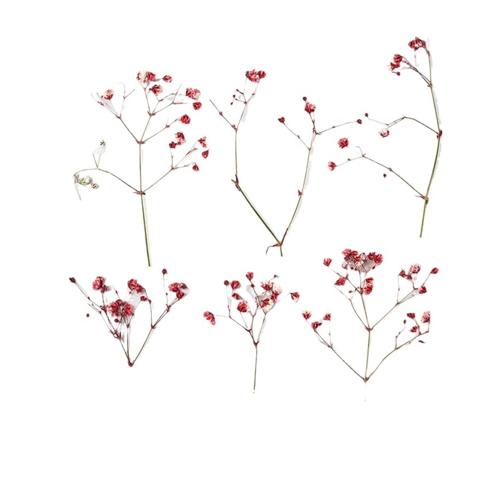WJIAYAO dried gypsophila flowers 24pcs/4-6cm, Pressed Gypsophila Paniculata Flower Branches,Dried Babysbreath DIY Photo Frame Bookmark Drip Glue Phone Case(Color8)