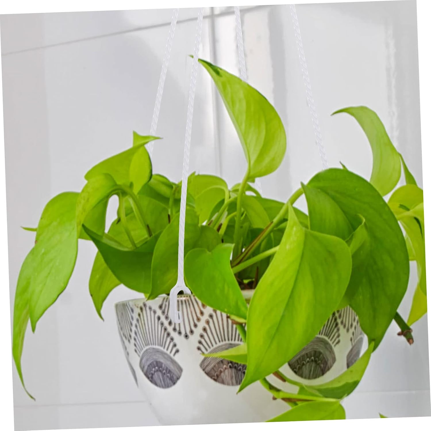 MERRYHAPY 5pcs Plastic Plant Hanger Hooks Decorative Hanging Baskets for Outdoor/Indoor Plants