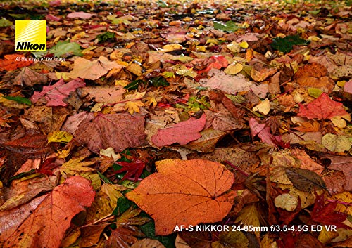 Nikon AF-S NIKKOR 24-85 mm f/3.5-4.5G ED VR [AFSVR24-85G], 2204