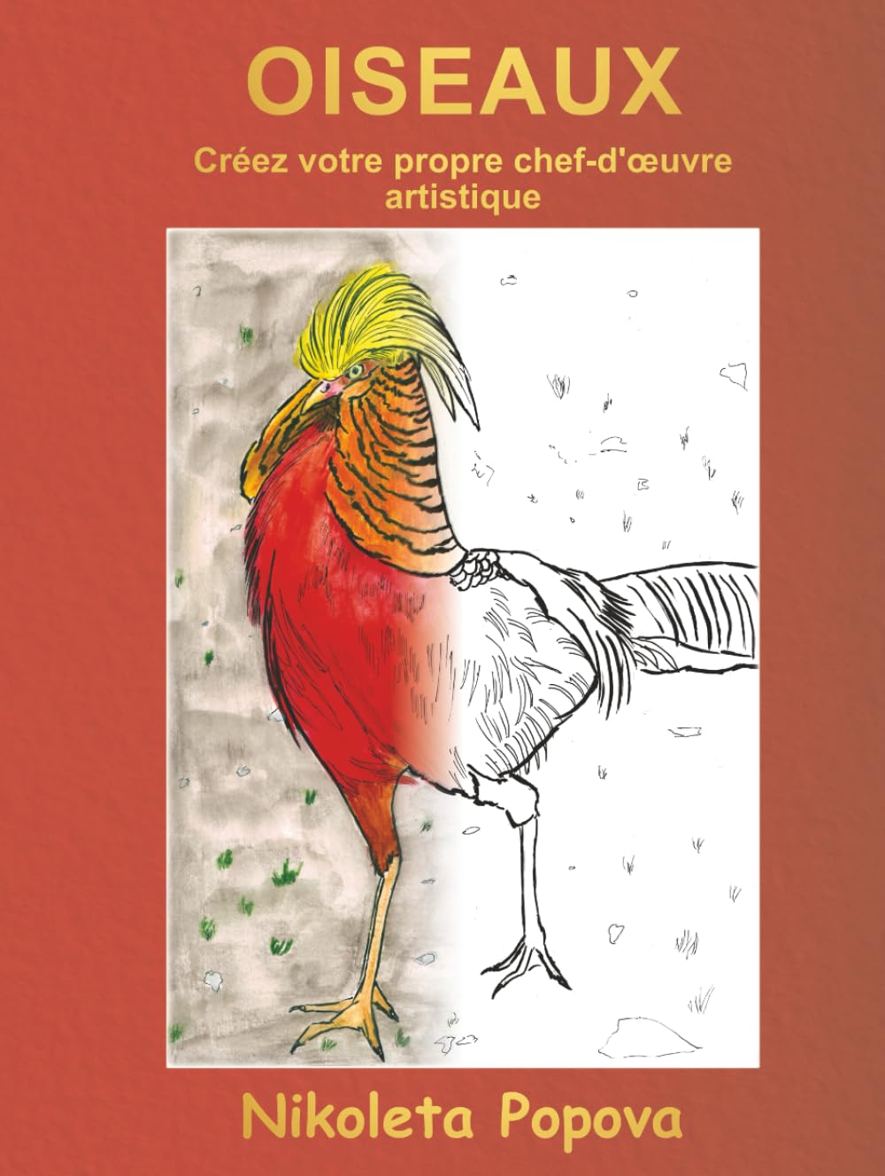 Oiseaux dessiner et colorier pour évacuer le stress des adultes