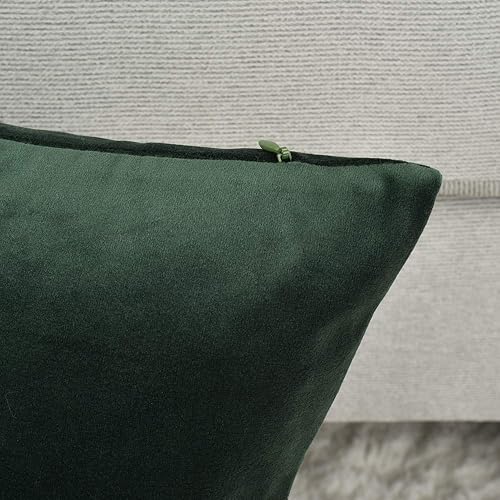 Miniatura 6 de Rythome Juego de 2 cómodas fundas de almohada para ropa de cama, fundas decorativas para sofá y sillón, terciopelo sólido suave con cremallera