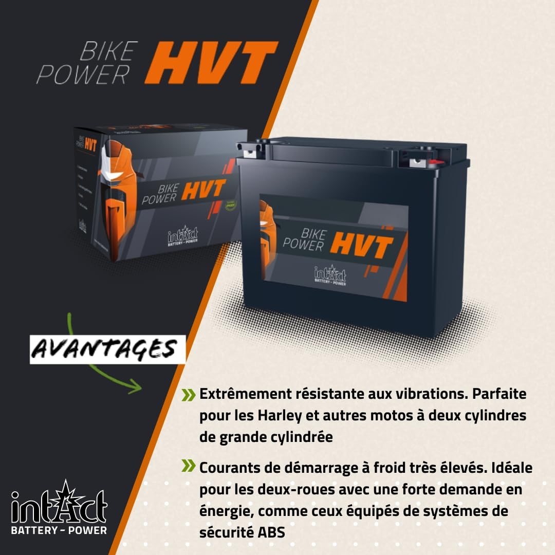 intAct - HVT BATTERIE DE MOTOCYCLE | Batterie pour scooter, moto, etc. Batterie sans entretien & anti-fuite. | HVT-07, CHD4-12, 66007-84, batterie 12V, 30 AH (c20), 350 A (EN) | Dim: 205x130x165mm