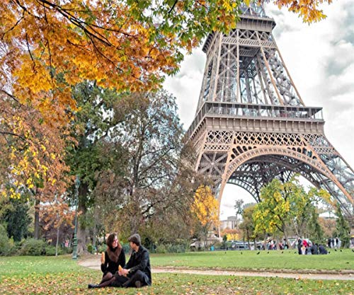 Muyankissu 5D Diamond Painting by Number Kit Eiffel Tower Fall Maple Leaves Paris Autumn Romantic Retro Full Drill Embroidery Cross Stitch Picture Supplies Arts Craft Wall Sticker Decor 16x20 inch
