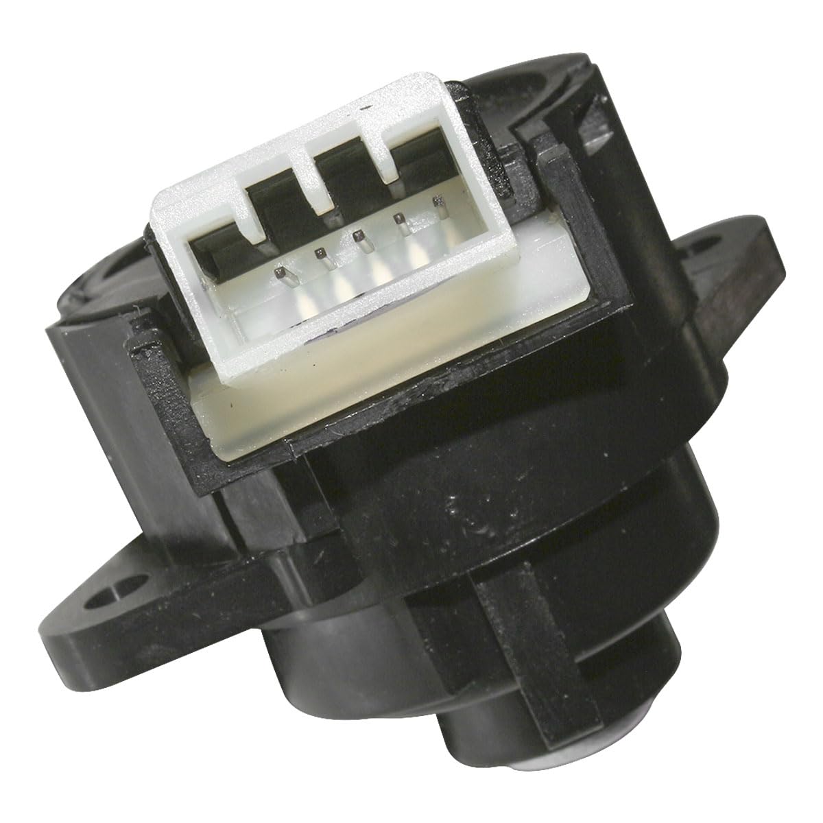 ちー 20240404094944-0.webp