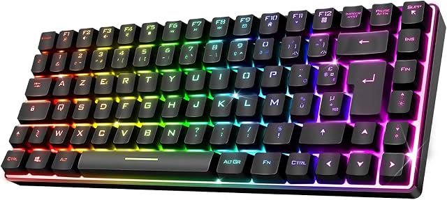 SPIRIT OF GAMER - Teclado Inalambrico RGB - Teclado Gaming TKL 65% - Teclas…