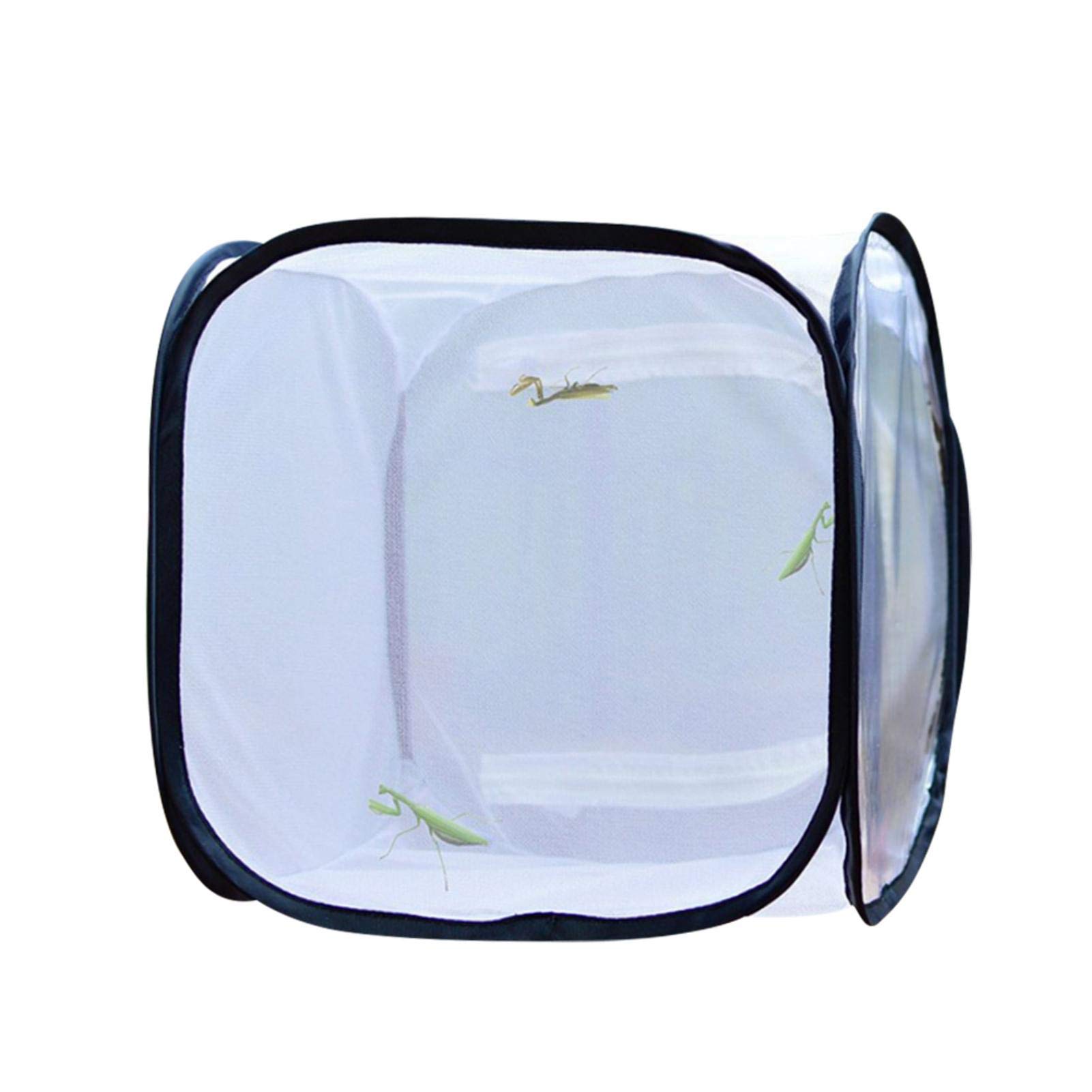 A/A Butterfly Habitat Net, Non-opaque Mesh Cage