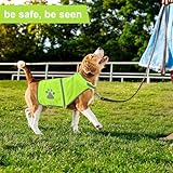 Warnweste für Hunde, Abeillo Pet Hunde Warnwesten, Hund Sicherheit Reflektierende Weste, Verstellbar Hundejacke für Outdoor Aktivitäten Spaziergänge im Dunkeln (Helle Grün)