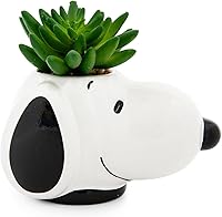 Vista 1 de Peanuts Snoopy Face Ceramic Mini Planter with Artificial Succulent Small Flower Pot, Faux Indoor Plants for Desk Shelf, Home Decor Trinket Tray