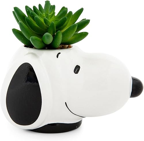 Peanuts Snoopy Face - Mini maceta de cerámica con suculentas artificiales, maceta pequeña, plantas de interior de imitación para estante de