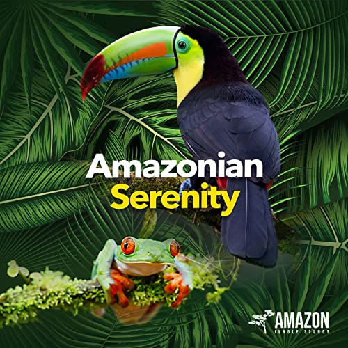 Amazon Jungle Sounds