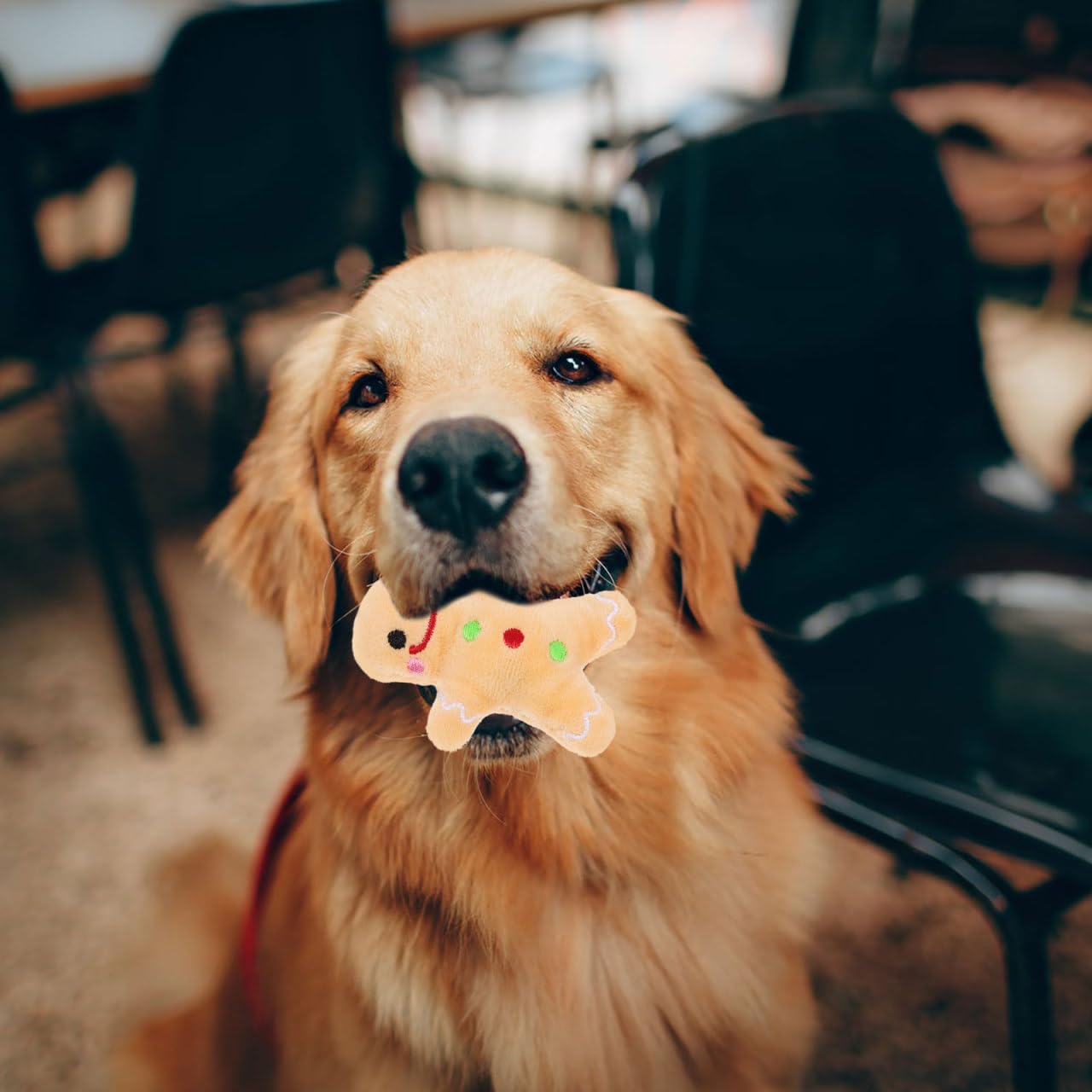 PRETYZOOM Gingerbread Dog Plush Toy - Christmas Squeaky Chew Toy for Puppies Keeps Dogs Engaged and Supports Healthy Teeth - Image 3