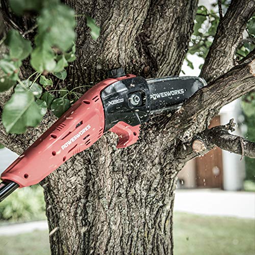 Powerworks PSP301 XB 40V 8-Inch Cordless Polesaw, 2Ah Battery and Charger Included, 8 inch