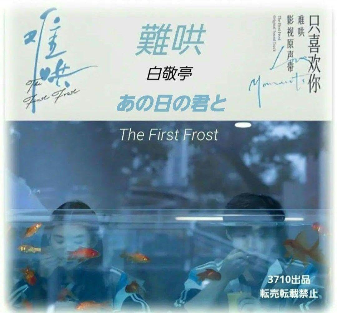 Amazon.co.jp: 中国ドラマ『あの日の君と(難哄なんこう)』白敬亭