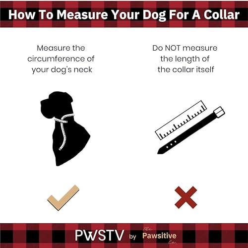 Miniatura 4 de The Pawsitive Co. - PWSTV. Collar y correa de colección para perro  collares y correas de perro (cada uno se vende por separado)., L, Pata de gallo
