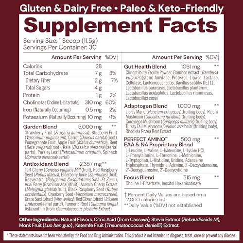 Bodyhealth REDS 30 Svg) Superfood Berry Powder Antioxidant Drink thumb #1