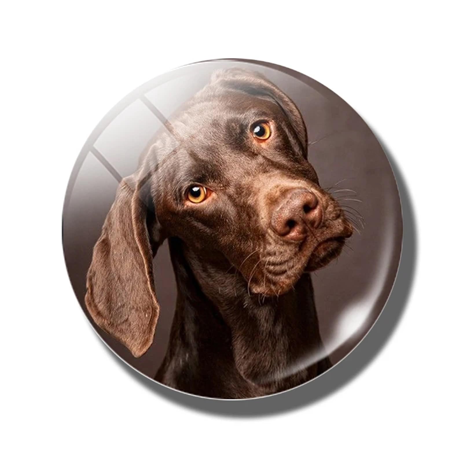 Glass Magnets 6pcs 30 MM Fridge Magnet Lover Glass Dome Magnetic Refrigerator Stickers Note Holder Home Decoration(Color-09)